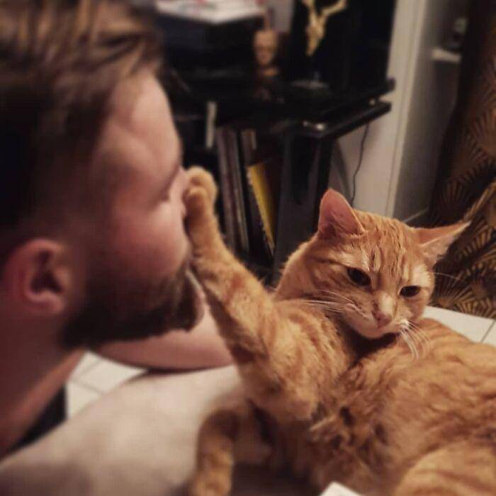 potret anabul menolak untuk dipeluk (instagram.com/chatoule_et_chatons)