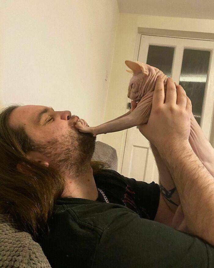 potret anabul menolak untuk dicium (instagram.com/cottageofcats)