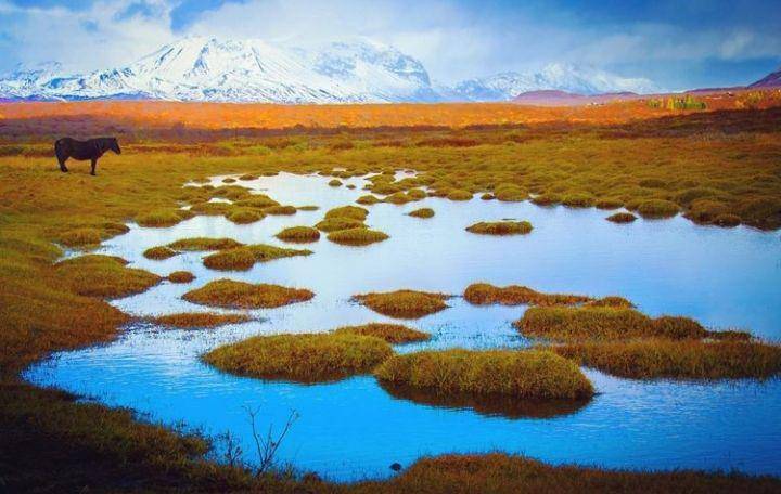 Taman Nasional Þingvellir (instagram.com/backpa.ca)