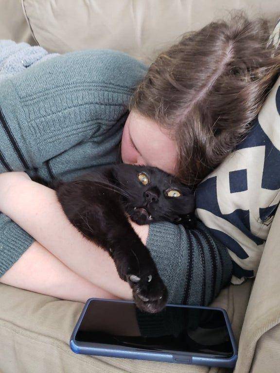 potret anabul menolak dipeluk (reddit.com/user/killerbunnyfamily)