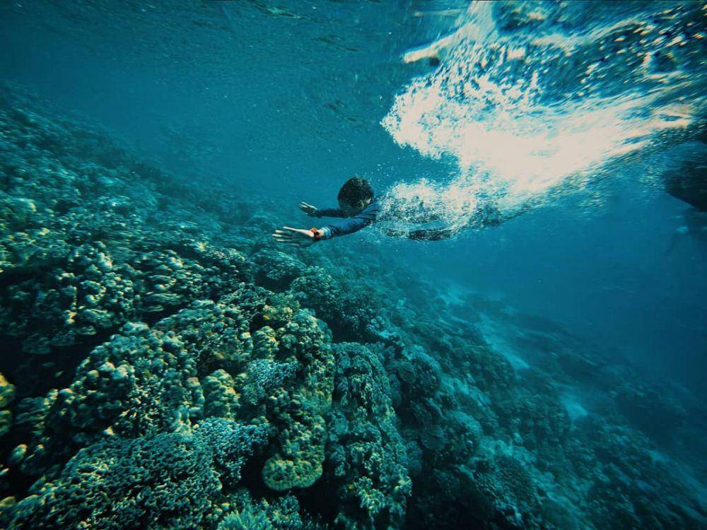 Snorkeling di Pulau Quezon, Hundred Islands (instagram.com/tata_rato)