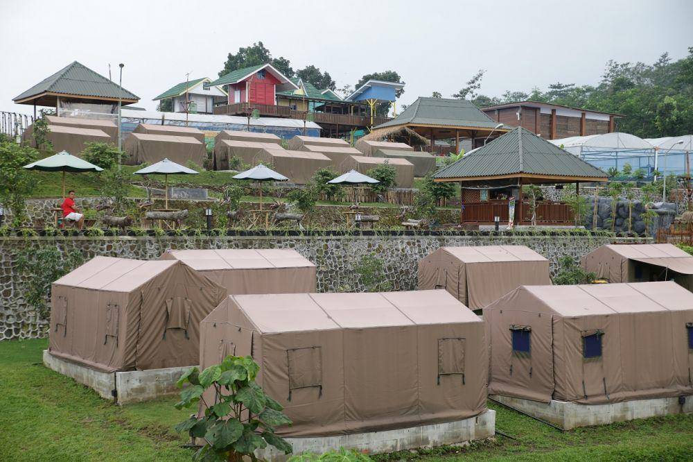 Wisata Edukasi Kebun Pak Budi (kebunpakbudi.com)
