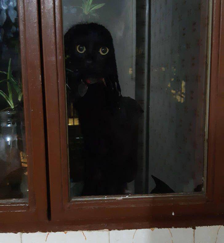 potret janggal gak wajar (izismile.com)