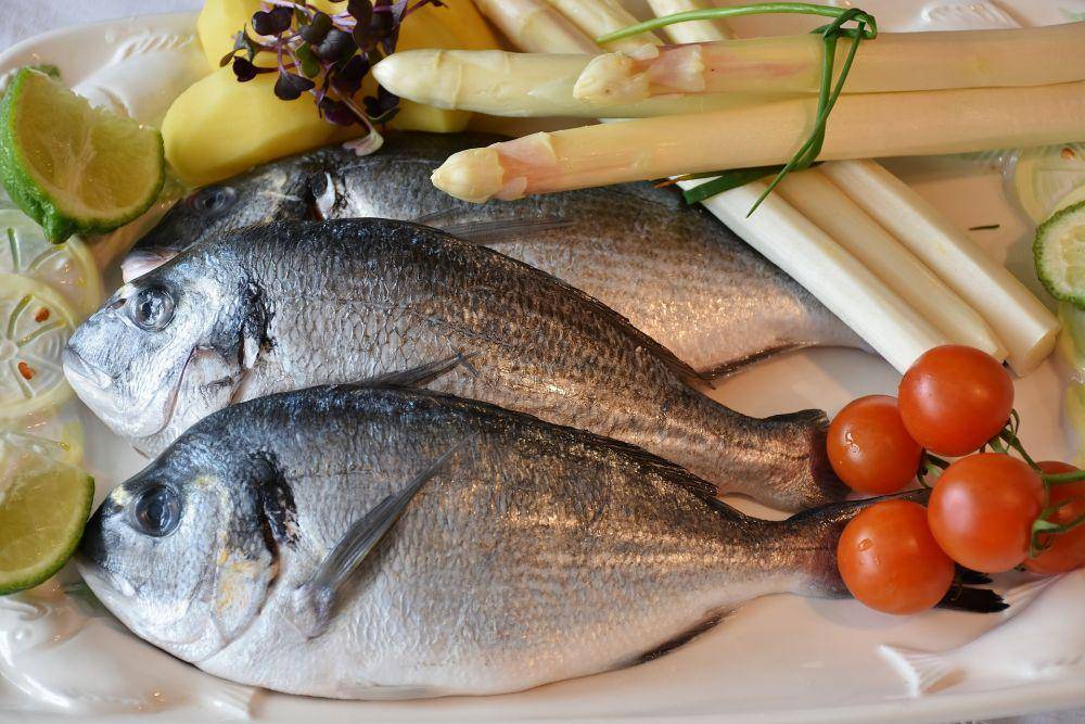 ilustrasi ikan (pixabay.com/users/ritae-19628)