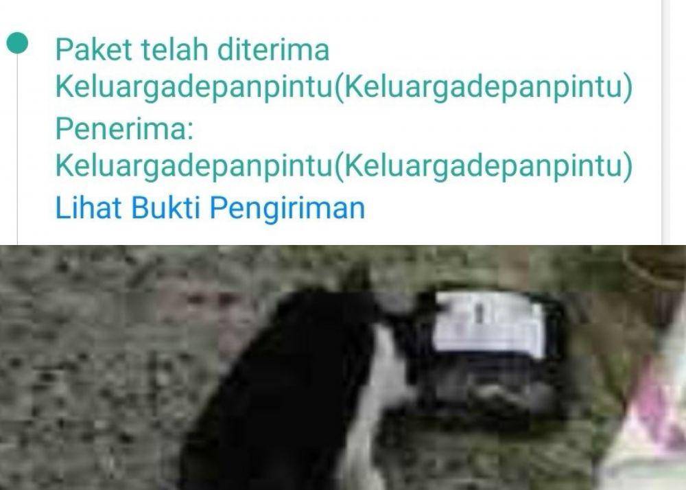 track order barang kocak (twitter.com/53O81)