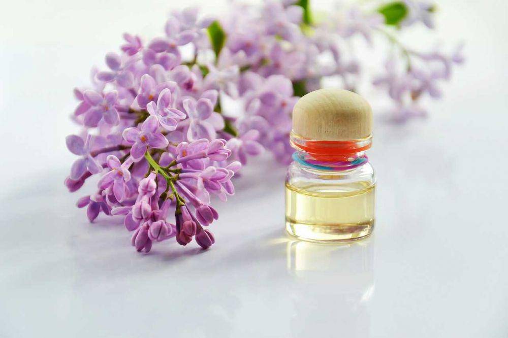ilustrasi esensial lavender(pixabay.com/id/users/mareefe)