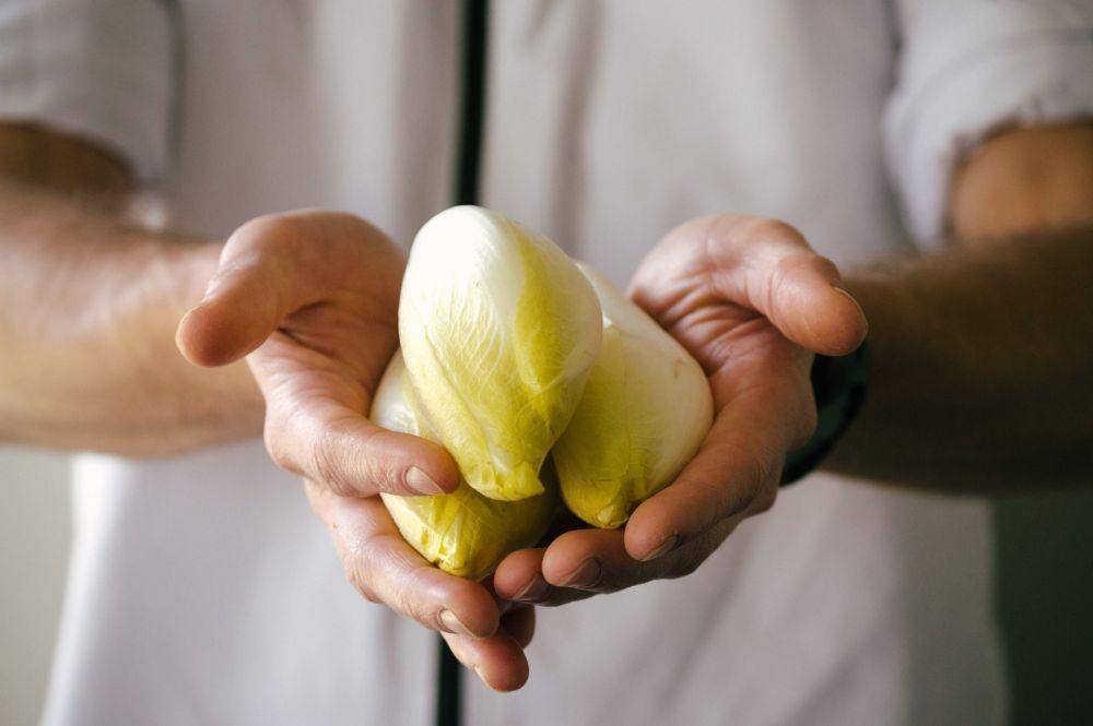 ilustrasi durian (unsplash.com/Isabel Casallas)