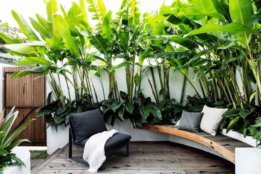 Desain Teras dengan Sentuhan Tropis ala Villa (aildm.com.au)