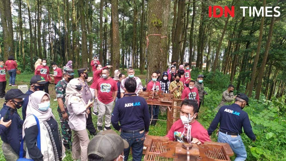 Tim gabungan BKSDA Jateng dan Balai Pertanian Semarang melepasliarkan puluhan burung jalak kerbau di hutan wana wisata Nglimut Boja Kendal. (IDN Times/Fariz Fardianto)