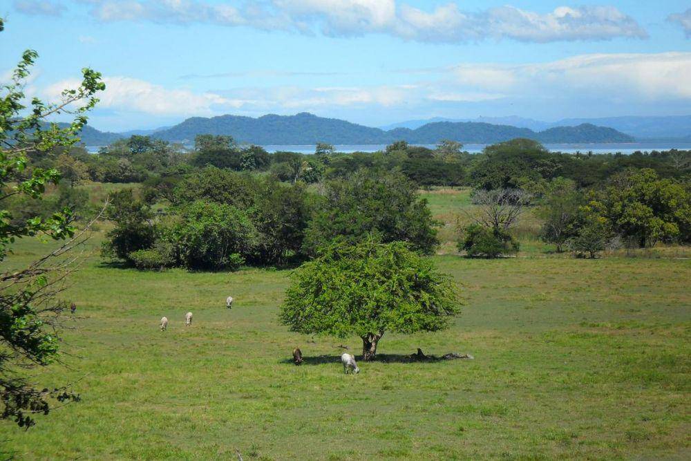 panorama semenanjung Nicoya (commons.wikimedia.org/Milei.vencel)