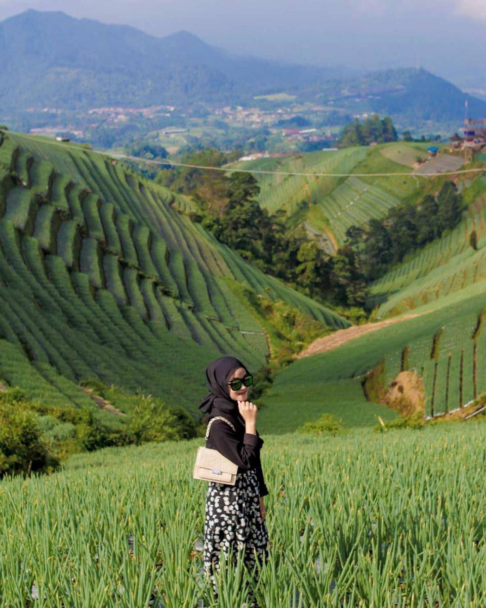 gardu Terasering Sitegong Magelang (instagram.com/vinasoviana)