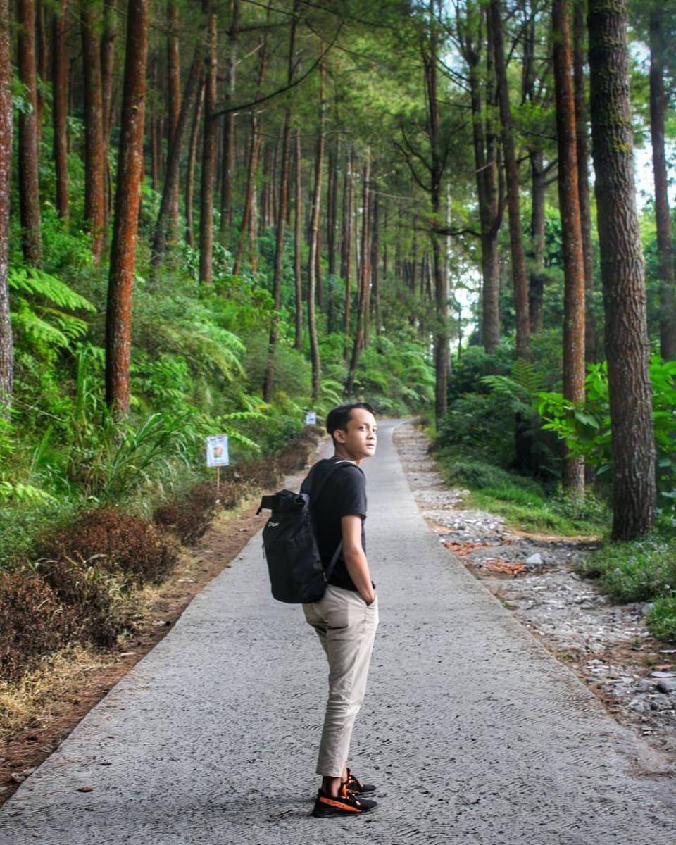 Hutan pinus menuju ke arah Cuntel Kopeng (Instagram.com/danang_krstiawan)