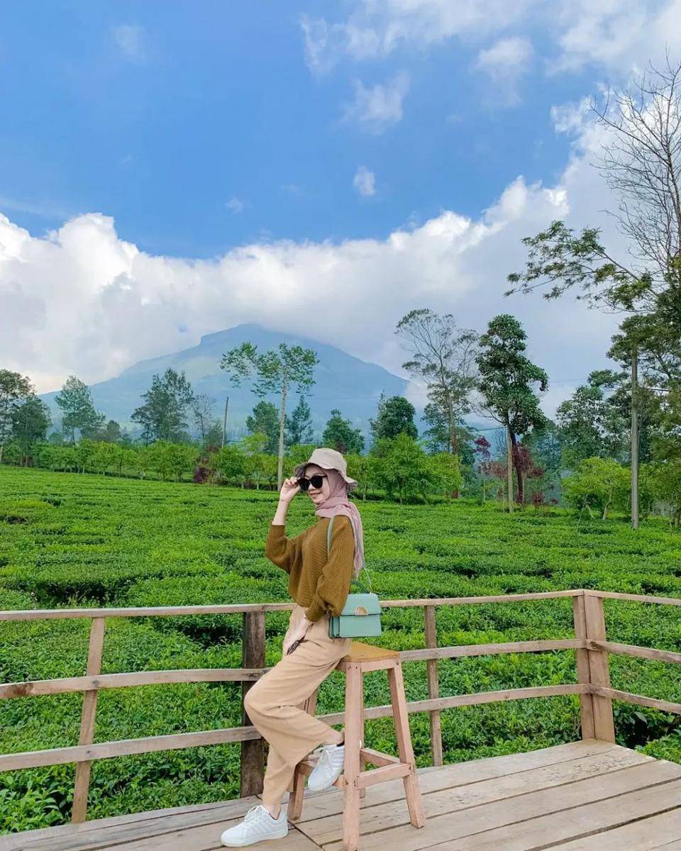 Kebun Teh Tambi (instagram.com/ais_shasya)