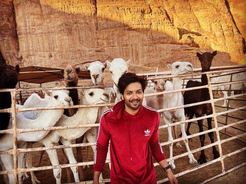 Ali Fazal (instagram.com/alifazal9)