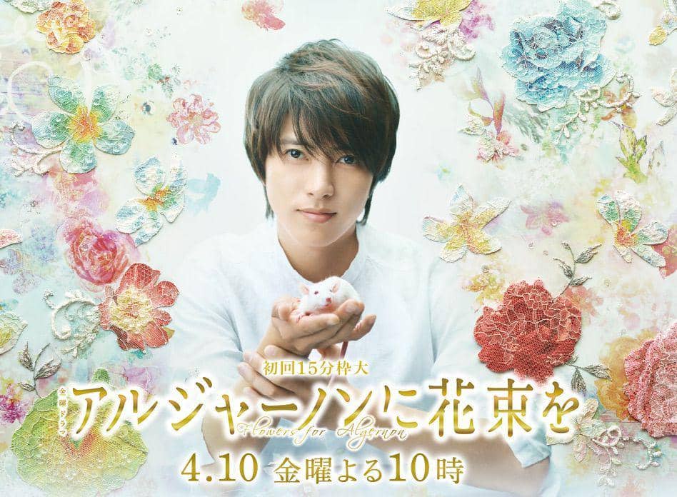 poster drama Flowers for Algernon (tbs.co.jp)