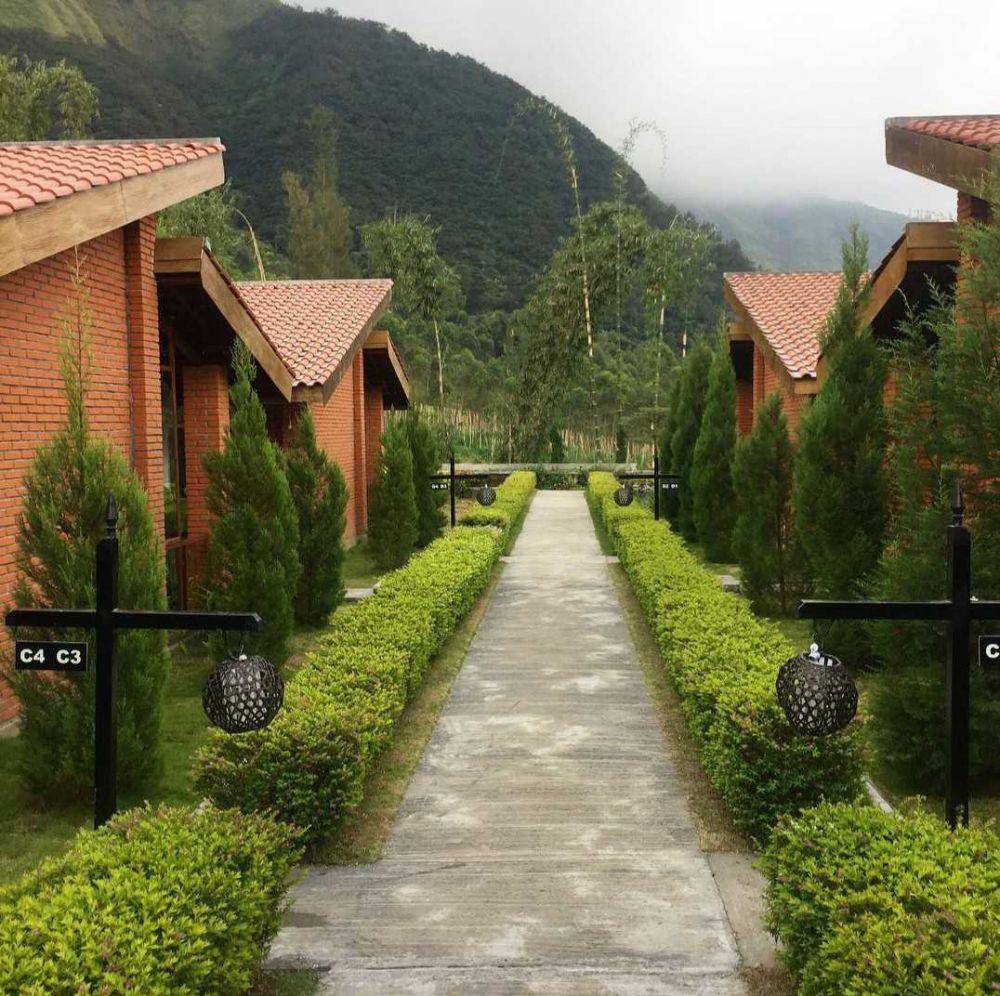 Bromo Terrace (instagram.com/bunbunsuka)