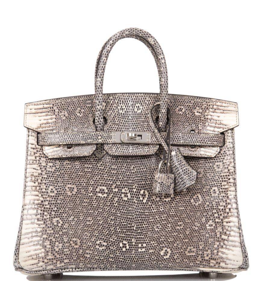 Hermes Ombre Birkin 25 Varanus Salvator Lizard Palladium Hardware (sothebys.com)