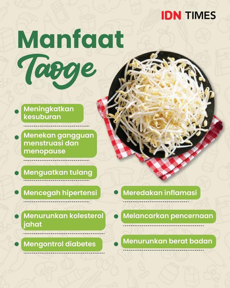 infografis manfaat taoge (IDN Times/Aditya Pratama)