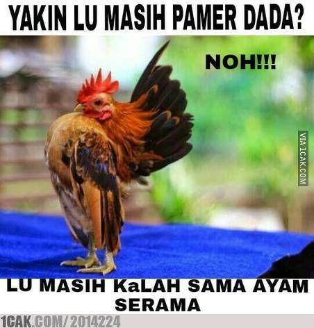 meme pamer (1cak.com)