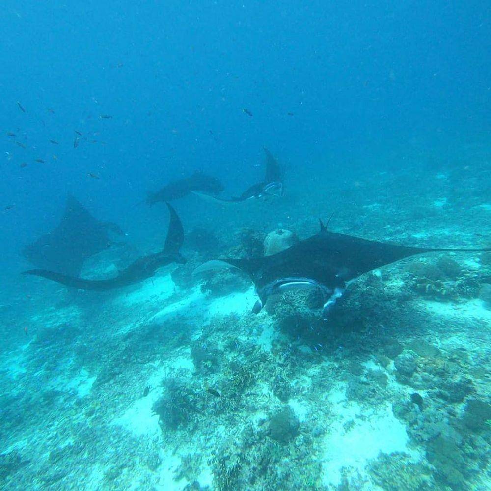 Manta Point (instagram.com/musttraveler_journey)