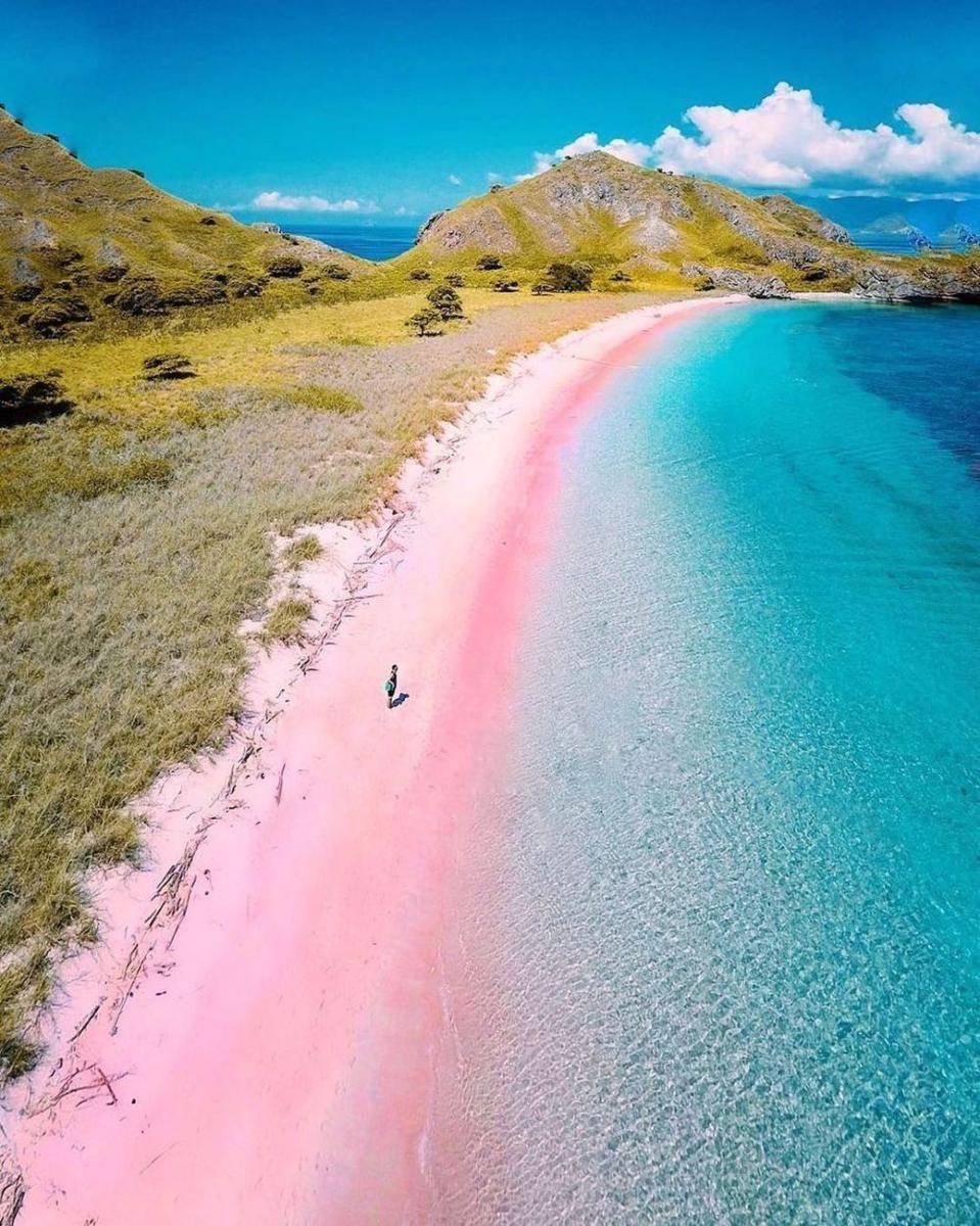 Pink Beach labuan bajo (instagram.com/hendrickhartono)