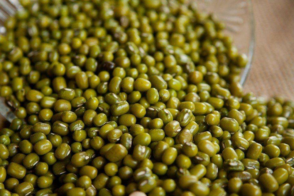 Ilustrasi kacang hijau yang bagus (pixabay.com/pdpics)