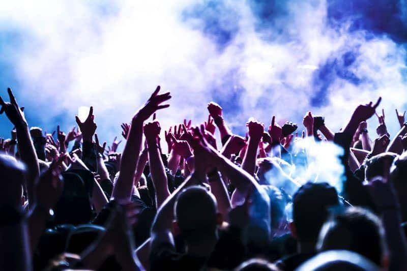 Groovin’ The Moo (travelfreak.com)