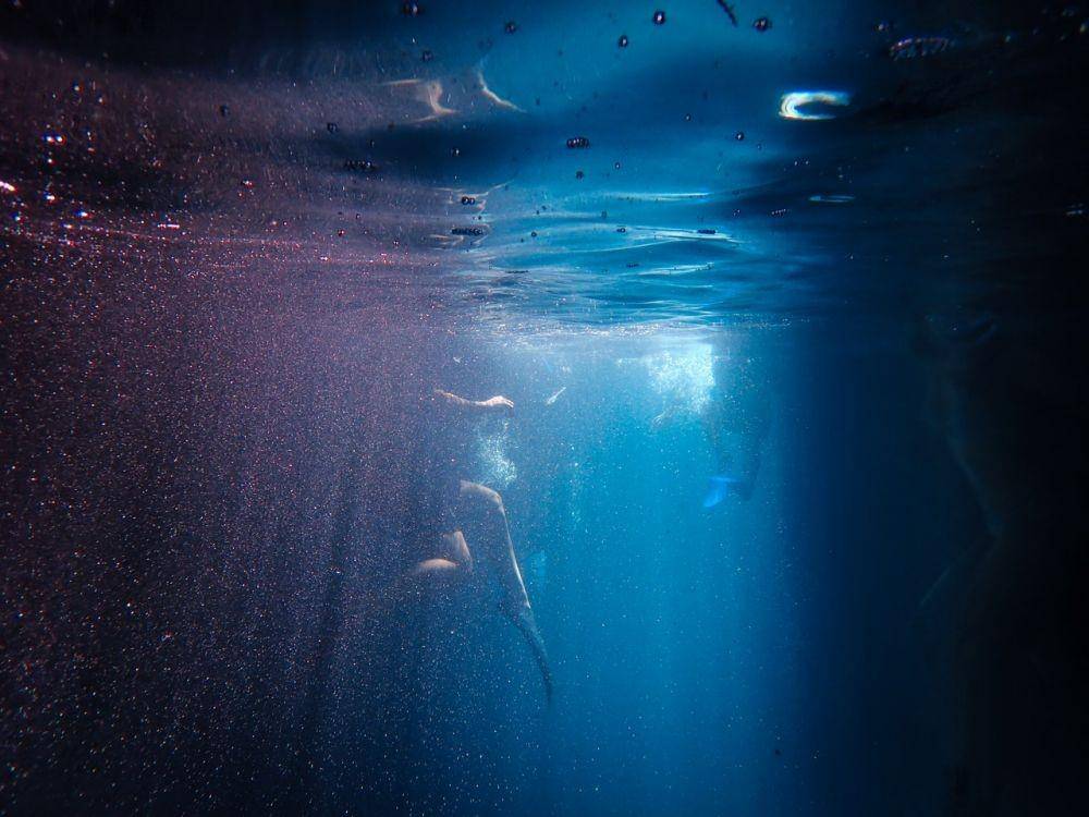 ilustrasi danau (pexels.com/Francesco Ungaro)