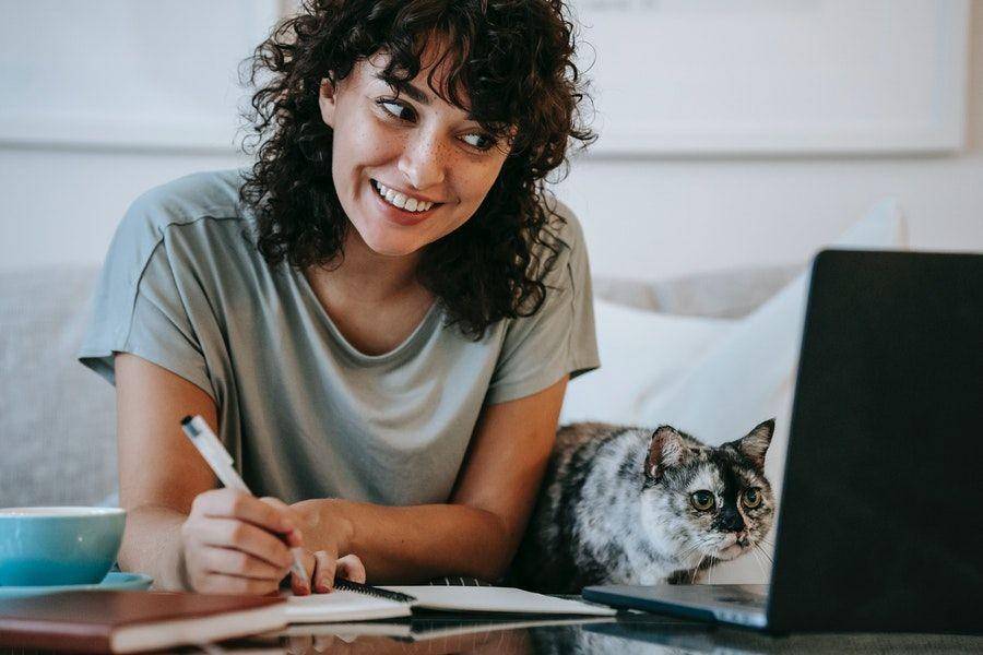 ilustrasi bekerja (pexels.com/@sam-lion)