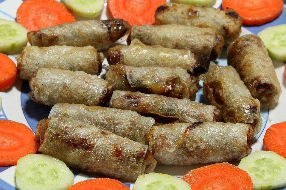 ilustrasi lumpia ragout (pixabay.com/M Ameen)