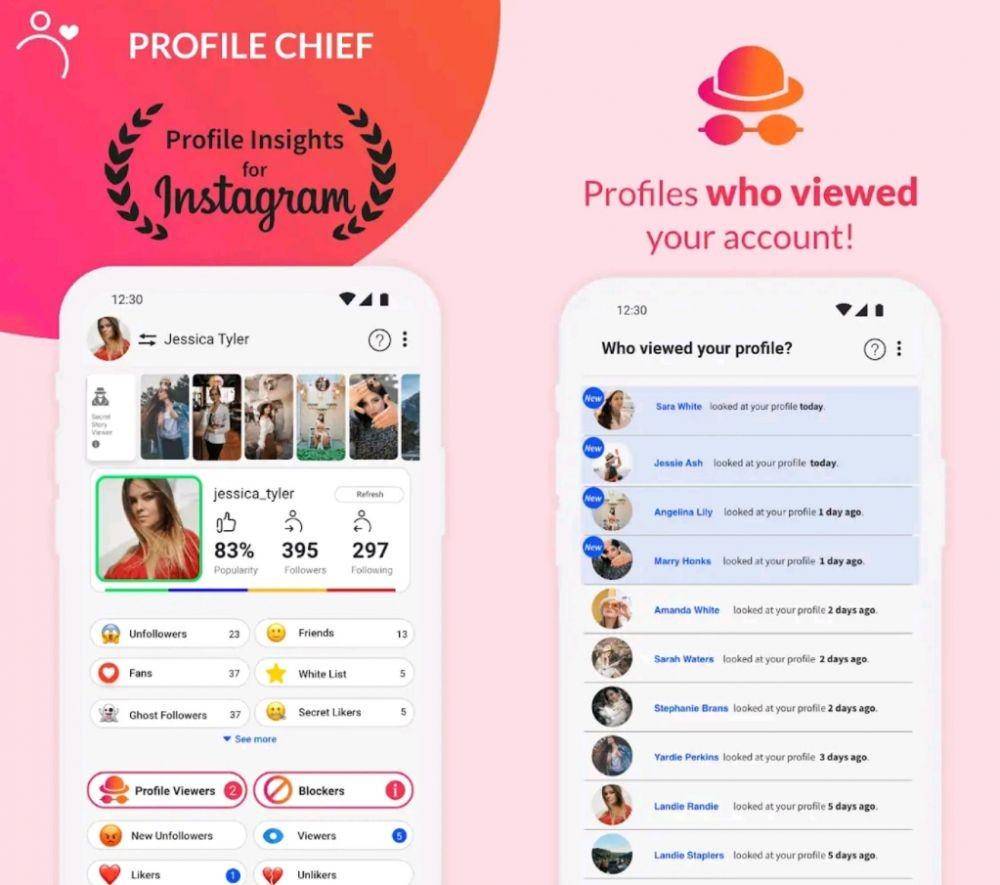 Profile Chief (Dok. Social Ivy)