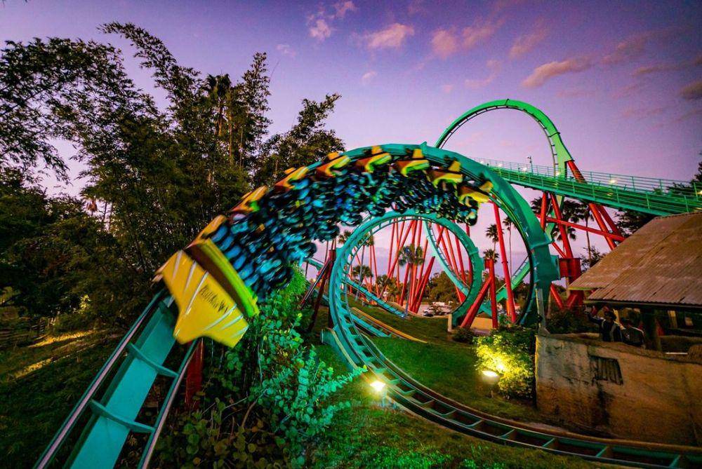 Busch Gardens (instagram.com/buschgardens)