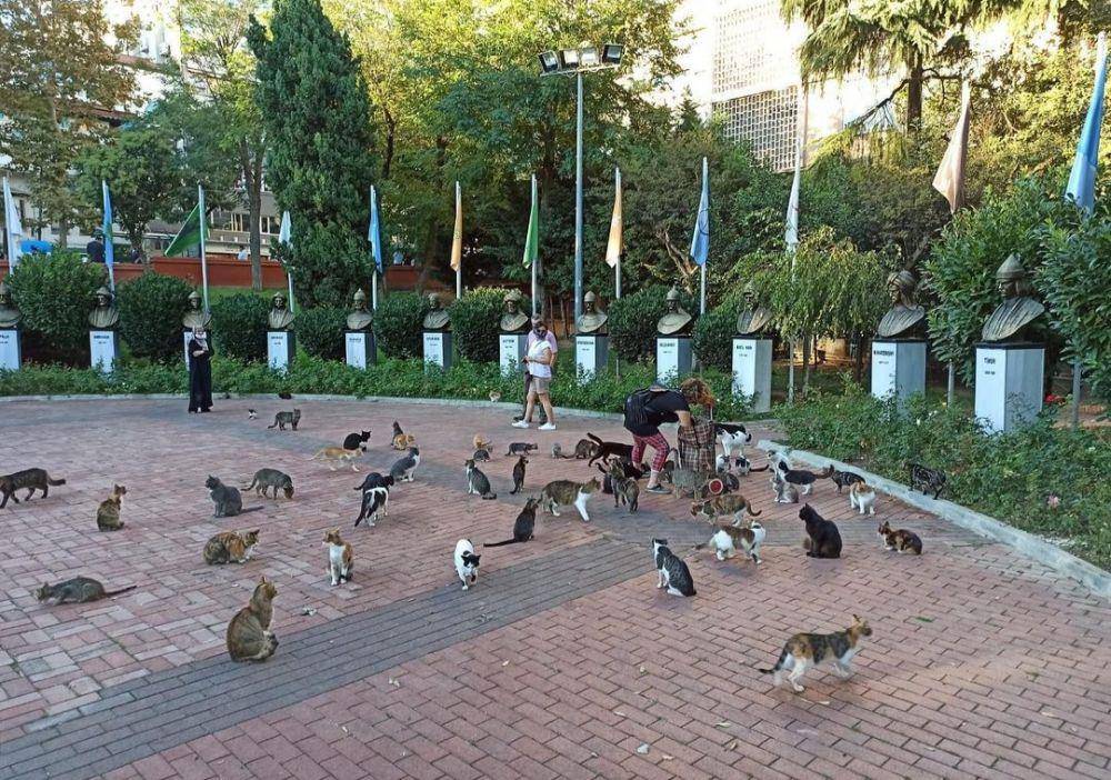 Maçka Park (instagram.com/sislibelediye)