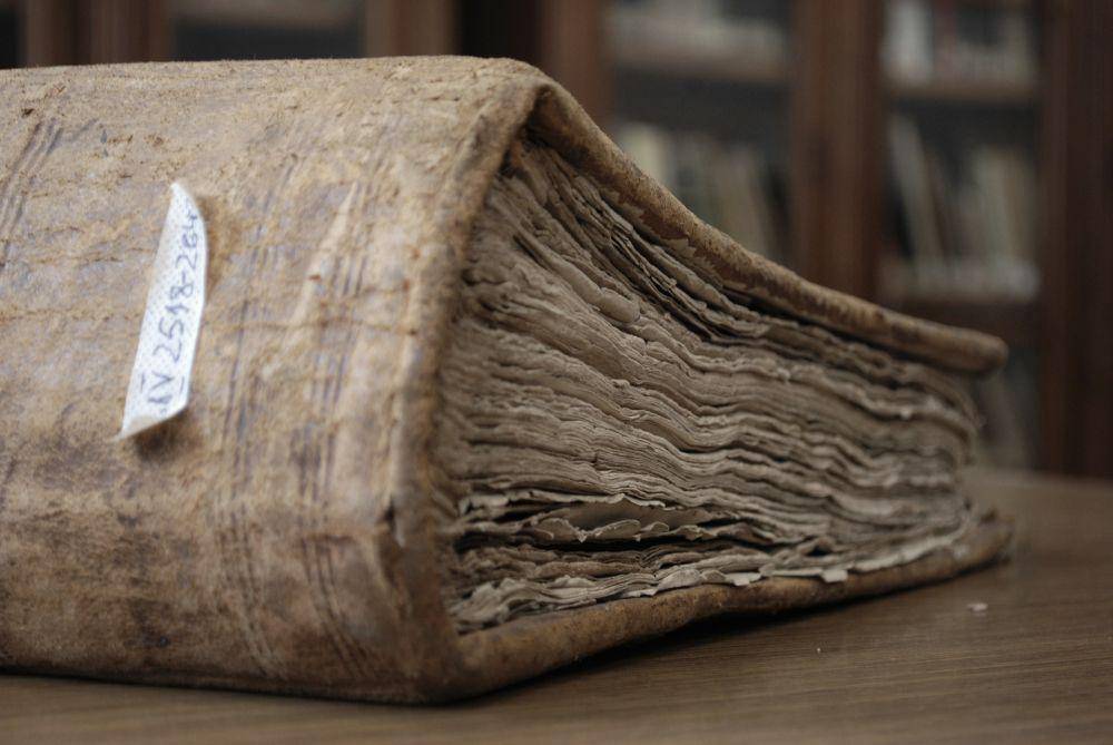 ilustrasi buku berdebu (pixabay.com/kropekk_pl)