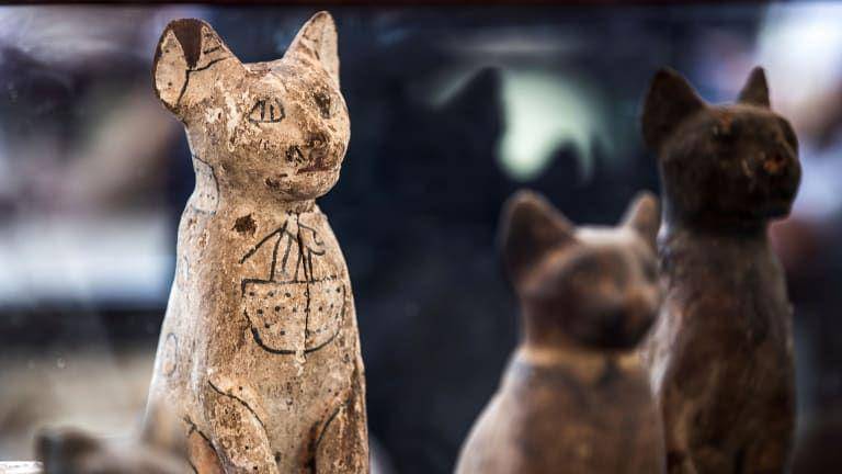 potret kucing mesir (history.com)