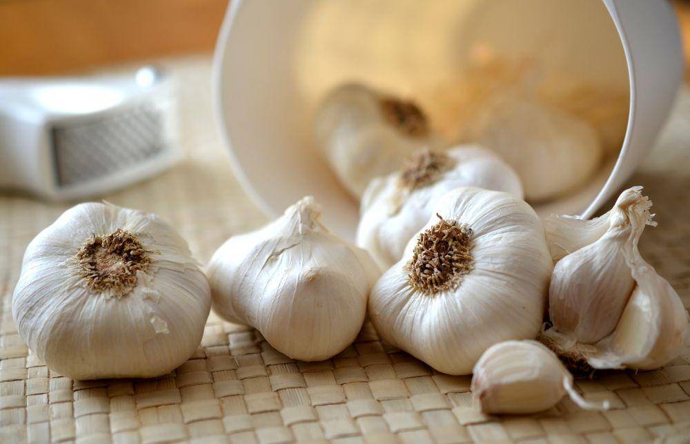 ilustrasi bawang putih (pixabay.com/congerdesign)