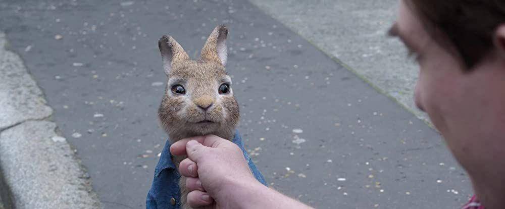 Adegan dalam film Peter Rabbit 2: The Runaway (dok. Sony Pictures/Peter Rabbit 2: The Runaway)