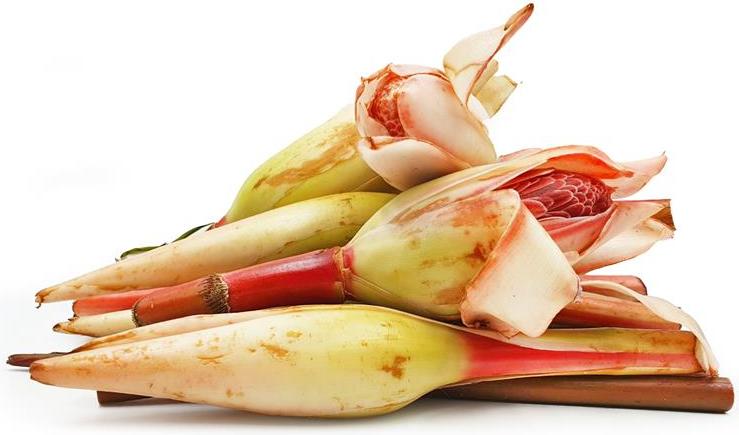 #GiziLokal: 5 Manfaat Kecombrang, Daunnya Amat Berkhasiat