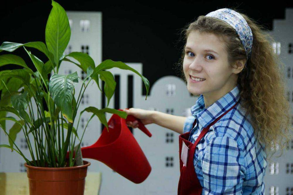 ilustrasi orang berkebun (pexels.com/Anastasiya Gepp)