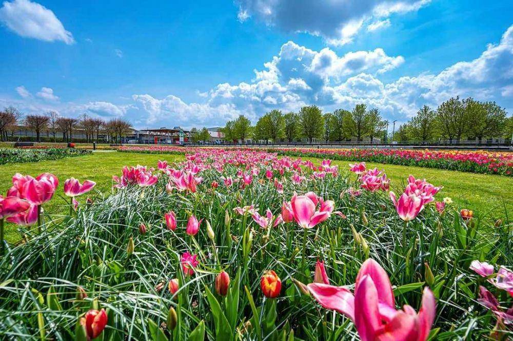Elbauenpark (instagram.com/mark.schubert_)