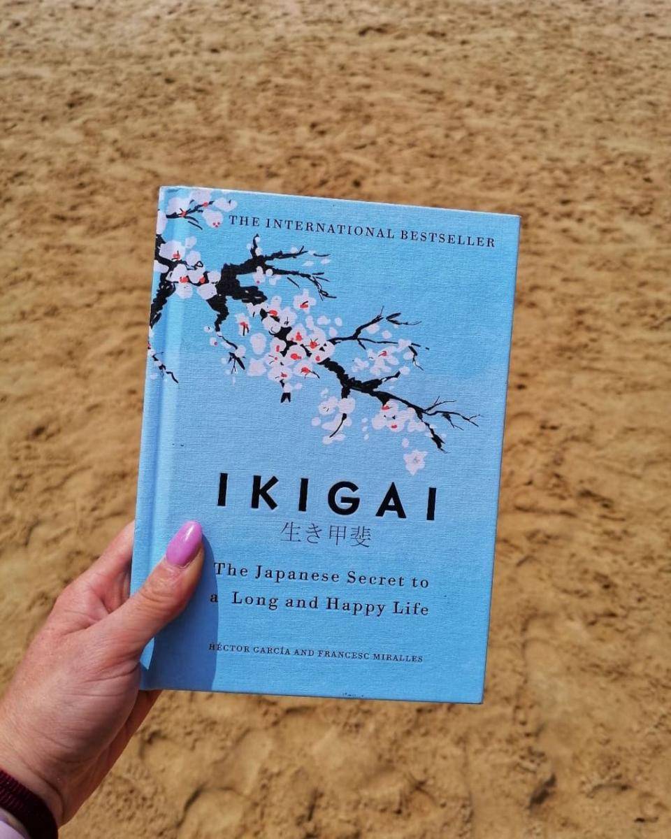 Ikigai oleh Hector Garcia dan Francesc Miralles (instagram.com/anebez00)