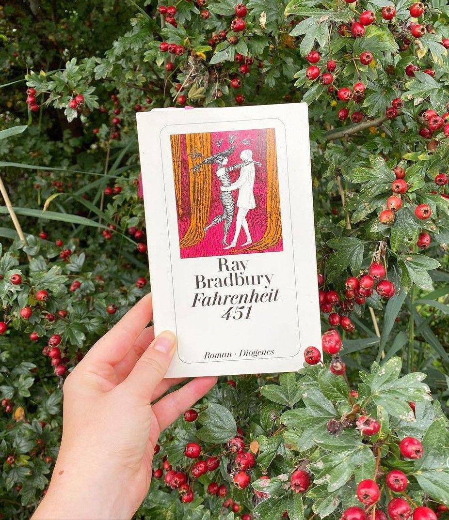 Fahrenheit 451 oleh Ray Bradbury (instagram.com/edgar_allans.hoe)