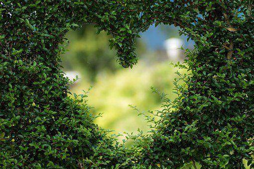 https://pixabay.com/images/search/love/