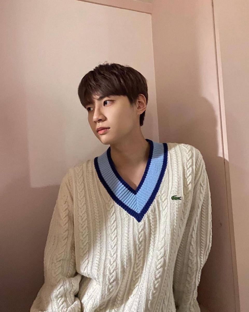Lee Jin Hyuk (instagram.com/ljh_babysun)