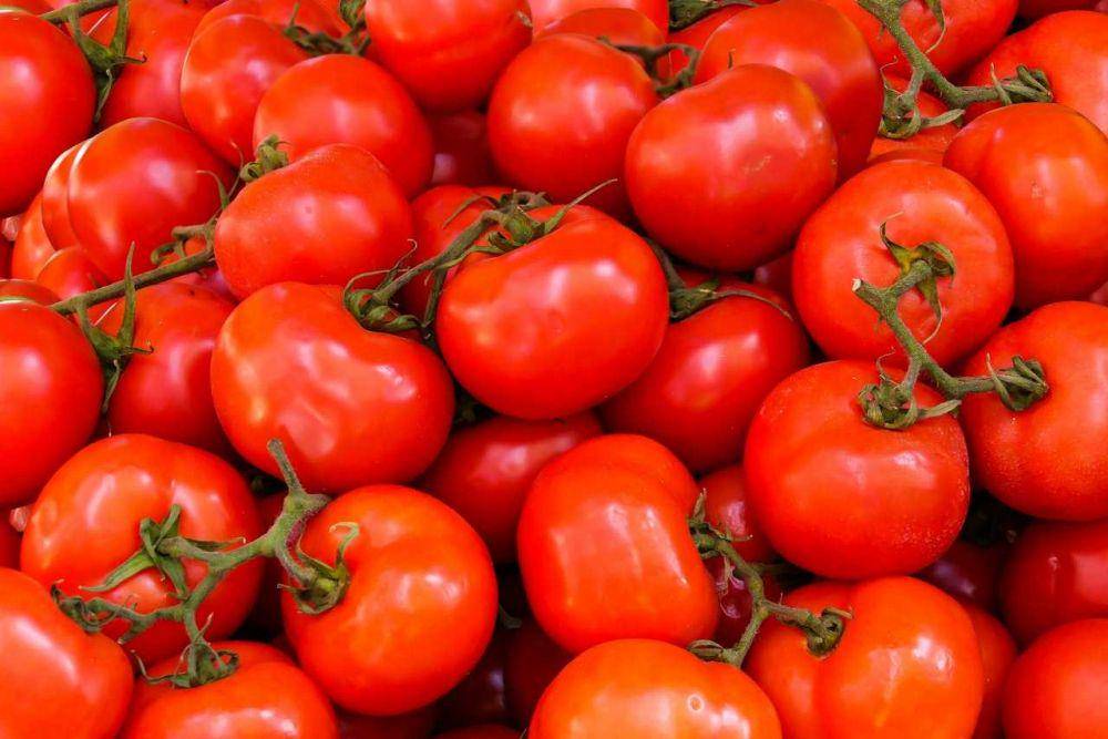 ilustrasi tomat merah (pexels.com/Pixabay)