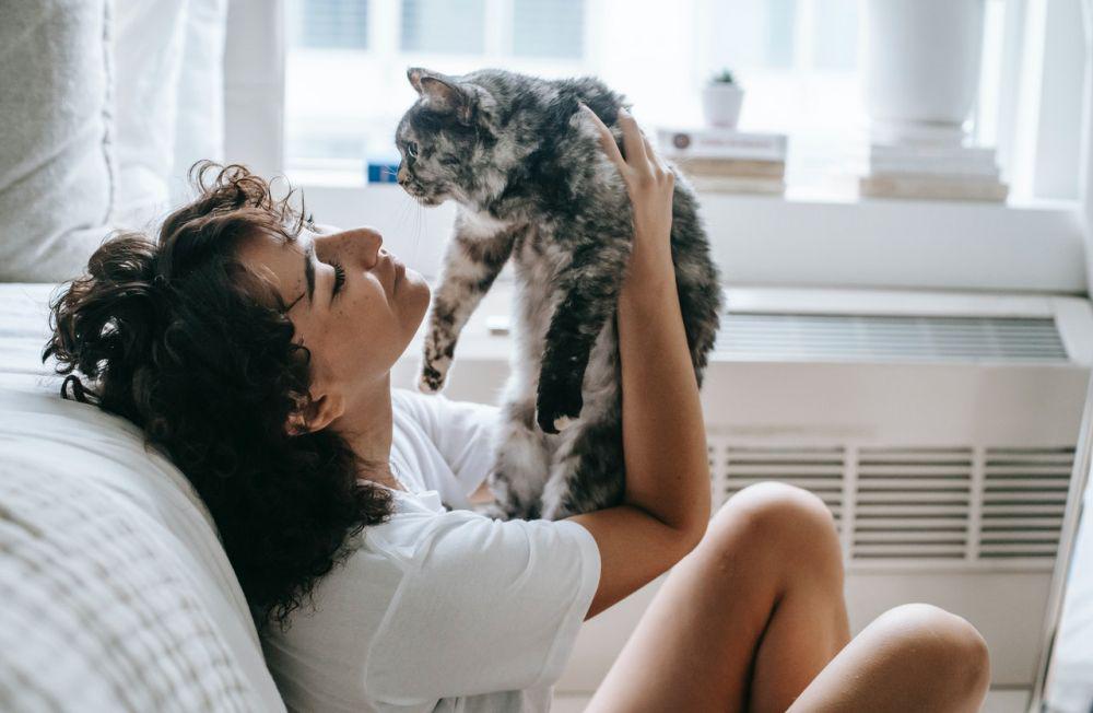 4 Tips Menjaga Kesehatan Kucing Tetap Prima di Musim Hujan