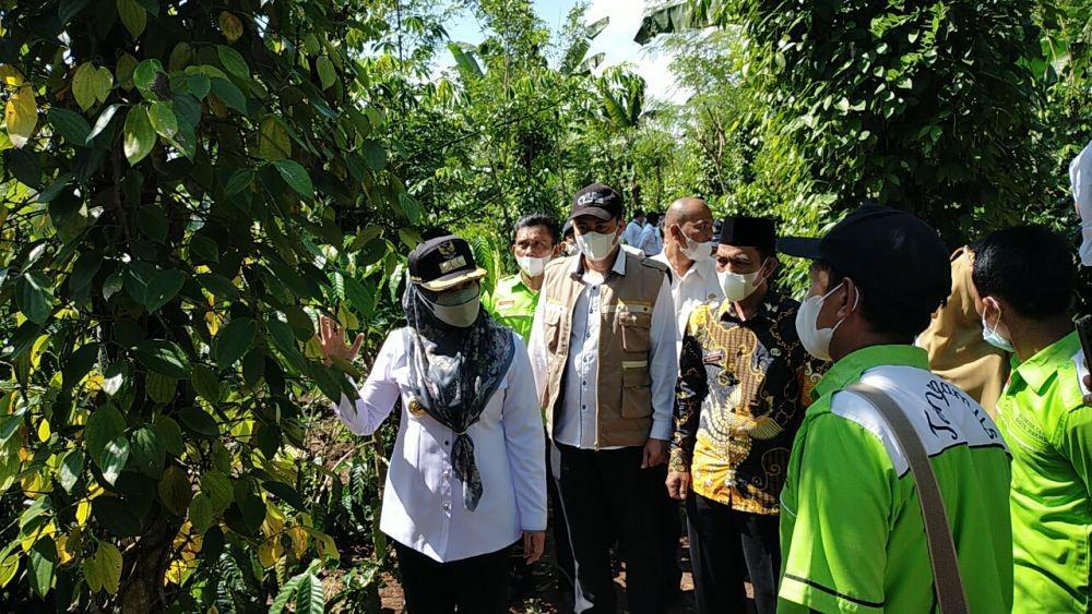 Program I-Care 3 Kecamatan Tanggamus Tingkatkan Kesejahteraan Petani?