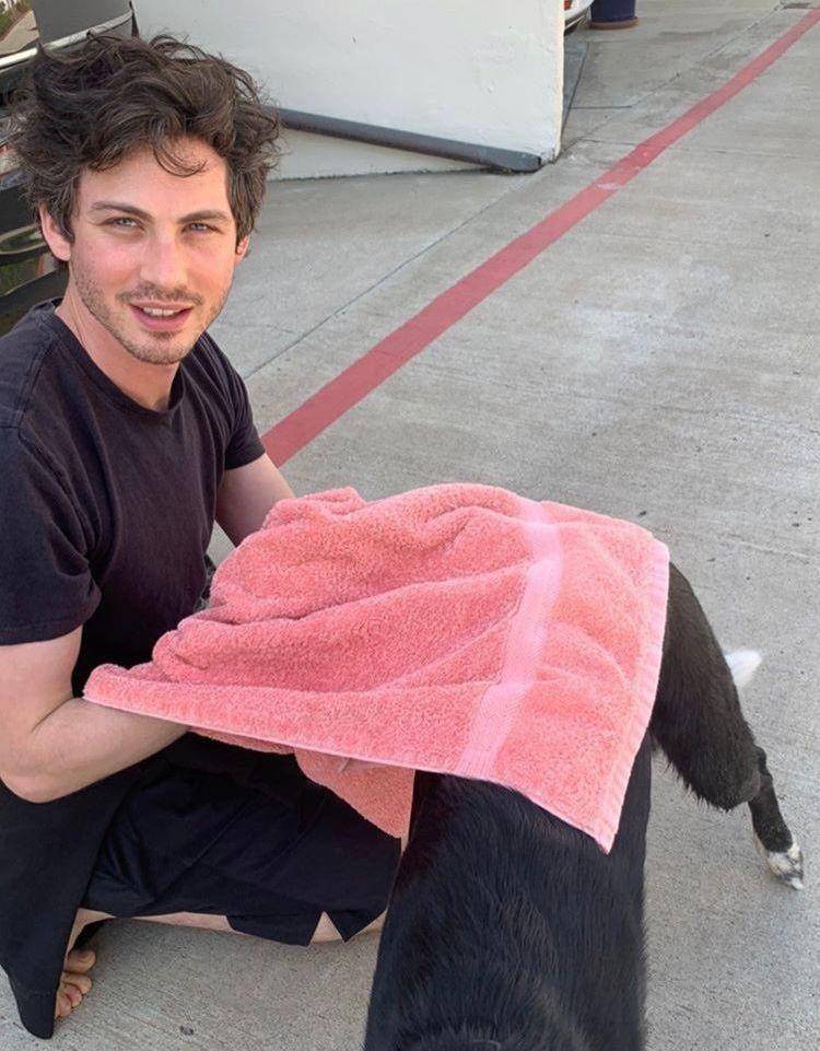Logan Lerman (twitter.com/losemynovelty)