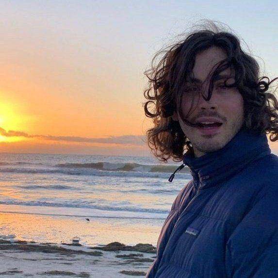 Logan Lerman (twitter.com/lantsovsbae)