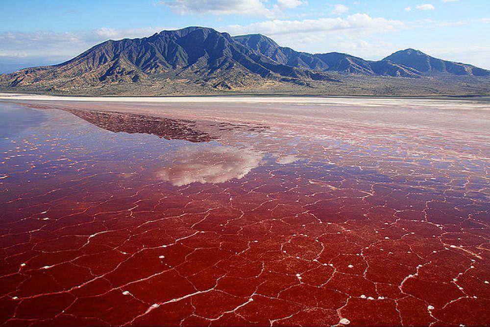 Danau Natron (pandotrip.com)